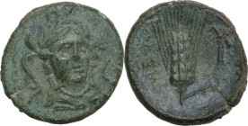 Greek Italy. Southern Lucania, Metapontum. AE 18 mm, c. 300-250 BC. Obv. Head of Athena facing slightly right, wearing pearl necklace and triple-crest...