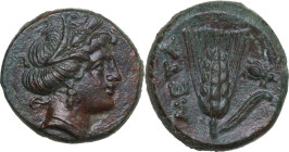 Greek Italy. Southern Lucania, Metapontum. AE 14 mm, c. 300-250 BC. Obv. Head of Demeter right, wearing barley-wreath. Rev. META. Barley-ear with leaf...