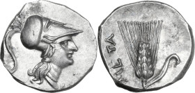 Greek Italy. Southern Lucania, Metapontum. AR Half Shekel – Drachm. Time of Hannibal, c. 212-206 BC. Obv. Head of Athena right, wearing Corinthian hel...