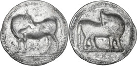 Greek Italy. Southern Lucania, Sybaris. AR Nomos, c. 550-510 BC. Obv. Bull standing left, head right; VM in exergue. Rev. Incuse bull standing right, ...
