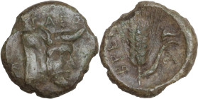 Greek Italy. Bruttium(?), Breig. AE Hemiobol(?), c. 340-320 BC. Obv. Forepart of man-headed bull right (Traes); ΤΡΑΕΣ above, K to left. Rev. Barley-ea...