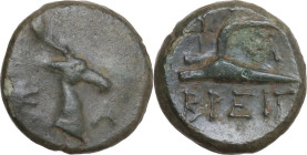 Greek Italy. Bruttium(?), Breig. AE 13mm, c. 300-250 BC. Obv. K-A. Head of stag right. Rev. Plough left; monogram to right, BPEIΓ below. Cf. HN Italy ...