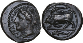 Sicily. Syracuse. Agathokles (317-289 BC). AE 17mm., 317-310 BC. Obv. ΣΥΡΑΚΟΣΙΩΝ. Head of Arethusa left. Rev. Bull butting left; above and in exergue,...