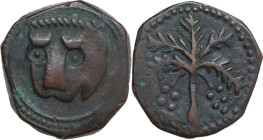 Messina. Guglielmo II (1166-1189). Trifollaro, 1180-1185. D/ Testa stilizzata di leone. R/ Palma da datteri. Sp. 117; Travaini 1995 370; D'Andrea-Cont...