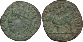 Napoli. Federico III d'Aragona (1496-1501). Cavallo. D/ Testa a sinistra coronata di stile grezzo. R/ Cavallo gradiente a sinistra; sopra stella a set...