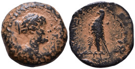 PTOLEMAIC KINGS of EGYPT. Berenike II, wife of Ptolemy III. Circa 244/3-221 BC. Æ Tritartemorion 21mm, 7,05g *Repatinated*