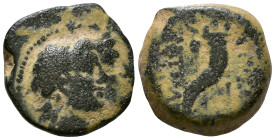 SELEUKID KINGS of SYRIA. Antiochos VIII Epiphanes (Grypos). 121/0-97/6 BC. AE 15mm, 4,26g