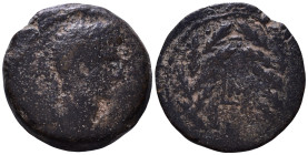 EGYPT, Alexandria. Augustus. 27 BC-AD 14. Æ Diobol. Dated RY 41 (AD 11/12). Laureate head right / L MA (date) within oak-wreath. 23mm, 8,40g
