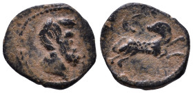 Uncertain Roman Provincial Coin. Male head right | Ram leaping right, head left, crescent above, uncertain lettering below ? AE 11mm, 0,89g *Repatinat...