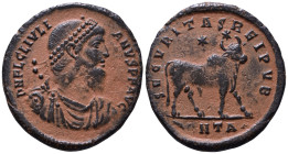 Julianus II Apostata, 360-363. Antioch. AE 27mm, 7,97g *Repatinated*