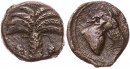 SIZILIEN SIKELOPUNIER
 AEs um 310-225 v. Chr. Vs.: Dattelpalme, Rs.: Pferdekopf n. r. SNG Cop. (North Africa) 103-105; SNG München 1631-1641. 4.32 g....