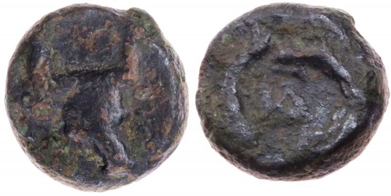 AEGINA AEGINA
 AE-Dichalkon vor 211 v. Chr. Vs.: Bukranion n. r.. Rs.: zwei Del...