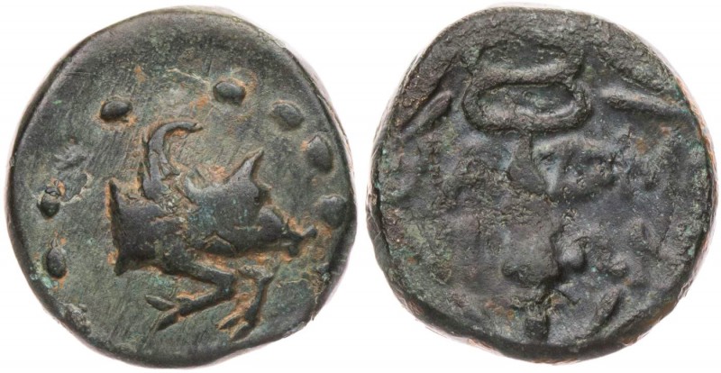 IONIEN KLAZOMENAI
 AE-Tetrachalkon 190-30 v. Chr. Vs.: geflügelte Eberprotome n...