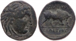 SYRIEN KÖNIGREICH DER SELEUKIDEN
Seleukos I. Nikator, 312-280 v. Chr. AEs ca. 280 v. Chr. Seleukeia Vs.: Kopf der Medusa n. r., Rs.: Stier stößt n. r...