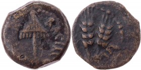 IUDAEA HERODISCHE DYNASTIE
Agrippa I., 37-44 n. Chr. AE-Dichalkon 41/42 n. Chr. (= Jahr 6) Jerusalem Vs.: Baldachin, Rs.: drei Kornähren RPC 4981; Me...