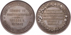 STÄDTE IN DEN HABSBURGISCHEN ERBLANDEN SCHÜTTENHOFEN (Sušice / Tschechien)
 Silbermedaille 1885 Auf die Ausstellung am 27., 28., 29. September 1885 d...