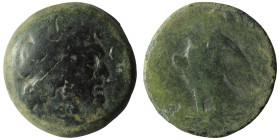 PTOLEMAIC EGYPT. Ptolemy III Euergetes, 246-221 B.C. AE
Weight 15,15 gr - Diameter 27,77 mm