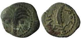 Augustus - Judea - Marcus Ambibulus - AE Prutah
8-9 A.D. Year 39. Obv: KAICAPOC legend with ear of of grain curved to right. Rev: palm tree; L - AO a...