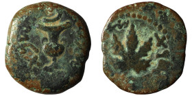 JUDAEA. Jewish War. (66-70 CE). Jerusalem mint
AE Prutah
Obv: Amphora
Rev: Vine leaf on branch with tendril.
Meshorer 204; Hendin 6392
Weight 3,2...