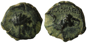 KINGS of ARMENIA. Tigranes IV. First reign, 10/6-5 BC. Æ Dilepton . Artaxata mint. Draped and bearded bust right, wearing tiara / Head of elephant lef...