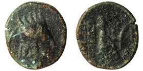Kings of Armenia, Tigranes II Æ Chalkous.Kings of Armenia, Tigranes II Æ Chalkous. Uncertain mint, 70-66 BC.
Weight 6,21 gr - Diameter 19,76 mm