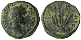 CAPPADOCIA. Caesaraea. Severus Alexander (222-235). Ae.
Obv: AY K CEOY AΛEΞAN.
Laureate head right.
Rev: MHTPO KAIC ET ς .
Three corn ears, tied t...
