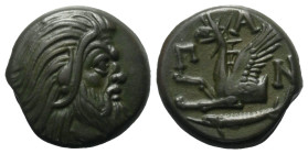 Taurischer Chersones. Pantikapaion.

 Bronze. Ca. 325 - 310 v. Chr.
Vs: Kopf eines bärtigen Satyrn rechts.
Rs: Greifenprotome links; im Abschnitt ...