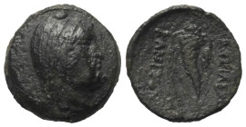Thrakisch-Skythische Dynasten. Kanites (ca. 160 - 100 v. Chr.).

 Bronze. Ungesicherte Münzstätte.
Vs: Kopf des bärtigen Kanites mit Kyrbasia recht...