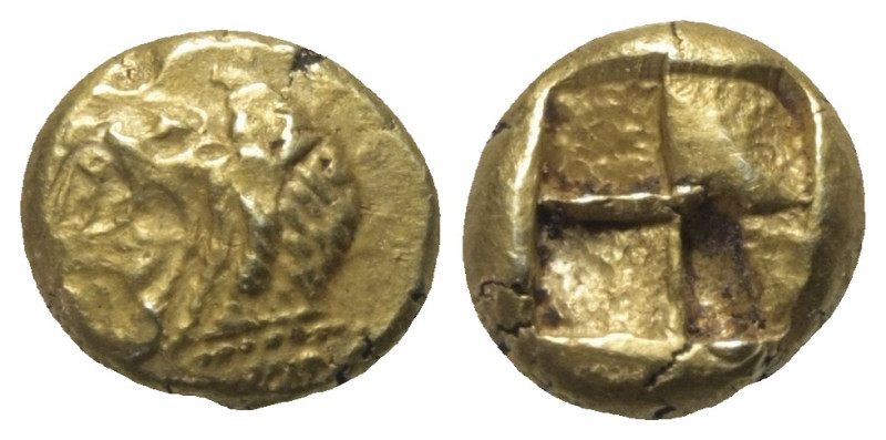 Bithynien. Herakleia Pontika.

 1/6 Stater bzw. Hekte (Elektron). Ca. 530 - 52...
