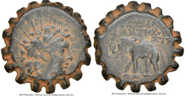 SELEUCID KINGDOM. Antiochus VI (144-c142 BC). AE serrate (22mm, 1h). NGC VF. Antioch. Radiate, diademed head of Antiochus VI right, wreathed with ivy ...