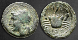 Bruttium. The Brettii circa 214-211 BC. Bronze Æ
