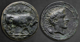 Sicily. Gela circa 420-405 BC. Tetras Æ or Trionkion