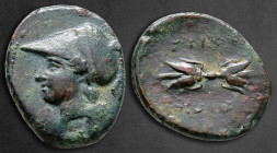 Sicily. Syracuse. Agathokles 317-289 BC. Bronze Æ