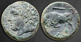 Sicily. Syracuse. Agathokles 317-289 BC. Hemilitron Æ