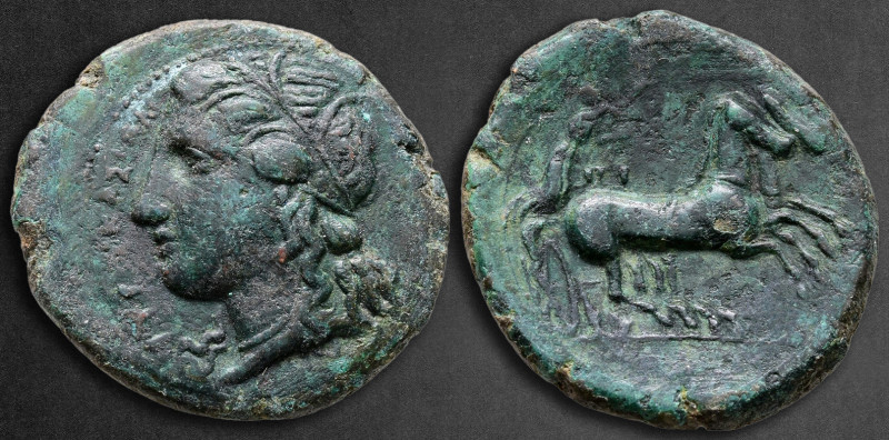 Sicily. Syracuse. Hiketas II 287-278 BC. 
Bronze Æ

23 mm, 7,15 g

ΣYPAKOΣI...