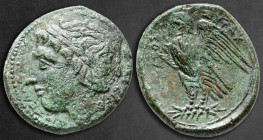 Sicily. Syracuse. Hiketas II 287-278 BC. Bronze Æ