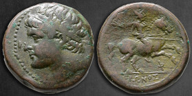 Sicily. Syracuse. Hieron II 275-215 BC. Bronze Æ