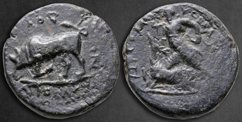 The Tauric Chersonese. Chersonesos circa 330-200 BC. 
Bronze Æ

24 mm, 16,12 ...
