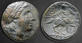 Ionia. Kolophon  circa 330-285 BC. Pantagnotos, magistrate. Bronze Æ