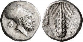 LUCANIA. Metapontion. Circa 340-330 BC. Didrachm or Nomos (Silver, 19 mm, 7.83 g, 10 h). Bearded head of Leukippos to right, wearing Corinthian helmet...