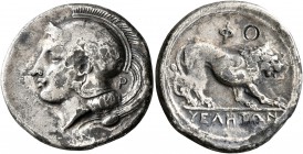 LUCANIA. Velia. Circa 340-334 BC. Didrachm or Nomos (Silver, 23 mm, 7.19 g, 3 h). Head of Athena to left, wearing crested Attic helmet; behind, P. Rev...