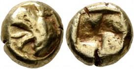 IONIA. Phokaia. Circa 625/0-522 BC. Hekte (Electrum, 9 mm, 2.31 g). Head of a griffin to left; behind, seal upward. Rev. Incuse square punch. Bodenste...