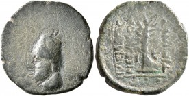 KINGS OF ARMENIA. Tigranes II ‘the Great’, 95-56 BC. Dichalkon (Bronze, 19 mm, 4.48 g, 12 h), Nisibis, RY 6 = 91/0. Head of Tigranes II to left, weari...