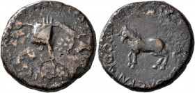 KINGS OF ARMENIA. Artaxias III, 18-34. Tetrachalkon (Bronze, 21 mm, 8.76 g, 8 h), Artaxata, RY 4 (?) = 21/2. [ΘЄOIC CЄBACTOIC KAICAPI KAI IOYΛIA] Five...