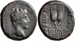 PHRYGIA. Apameia. Augustus, 27 BC-AD 14. Assarion (Orichalcum, 20 mm, 6.06 g, 12 h), Attalos, son of Diotrephos, magistrate. AΠAMEΩN Bare head of Augu...