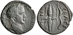 PISIDIA. Selge. Caracalla, 198-217. Hemiassarion (Bronze, 17 mm, 3.26 g, 1 h). AY K M AY ANTΩNЄINOC Laureate head of Caracalla to right. Rev. CЄΛΓЄΩN ...
