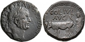 LYCAONIA. Iconium. Vespasian, 69-79. Diassarion (Bronze, 22 mm, 10.68 g, 7 h). IMP CAESAR VESPASIAN AVG Laureate head of Vespasian to right. Rev. COL ...