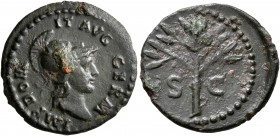 Domitian, 81-96. Quadrans (Copper, 18 mm, 2.28 g, 8 h), Rome, 84-85. IMP DOMIT AVG GERM Helmeted bust of Minerva to right. Rev. S - C Olive branch. BM...