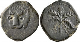ITALY. Sicilia (Regno). Guglielmo II il Buono (the Good), 1166-1189. Follaro (Bronze, 25 mm, 10.78 g, 12 h), Messina. Head of a lion facing slightly t...