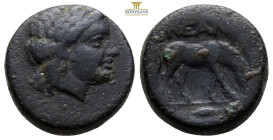 Troas, Neandria Æ 4th C. BC. Laureate head of Apollo r. / Horse grazing r.; grain ear in exergue. SNG Copenhagen 451-3. / 8,1 g, 19,3 mm,
